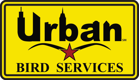 UBS Logo 2024-02-06 High Quality Cornerless
